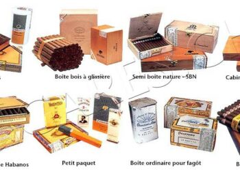 Quelles sont les meilleures boîtes de conservation ?