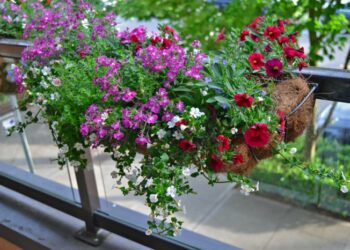 Quelles sont les plus belles plantes artificielles ?