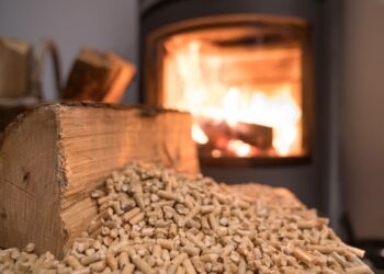 Quelles sont les poêles les plus saines ?