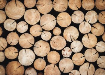 Quelles sont les qualités du bois d'Acacia ?