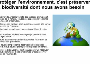 Quelles sont les solutions pour protéger l'environnement ?