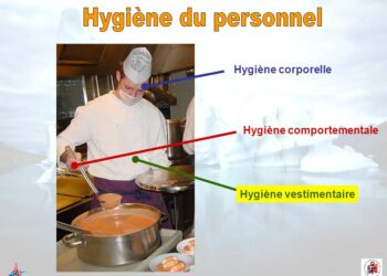 Quelles sont les substances alimentaires employés en cuisine ?