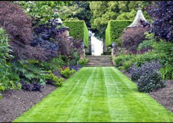 Quelles sont les types de plantes que l'on rencontre dans une prairie ?