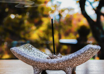 Quelles sont les vertus de l'encens ?