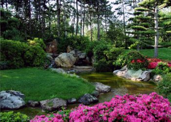 Quels arbustes pour un jardin japonais ?