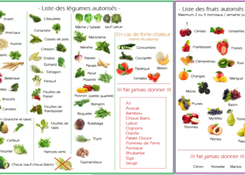 Quels fruits et légumes pour les lapins ?