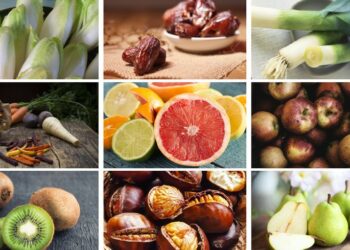 Quels fruits et légumes poussent en France ?