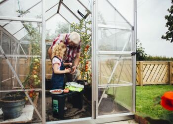 Quels matériaux pour une serre ?