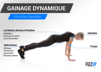 Quels muscles travaillent quand on fait la planche ?