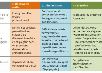 Quels sont les 4 types de compétences ?