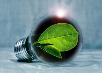 Quels sont les avantages de l'environnement ?