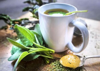 Quels sont les bienfaits de la tisane de frêne ?