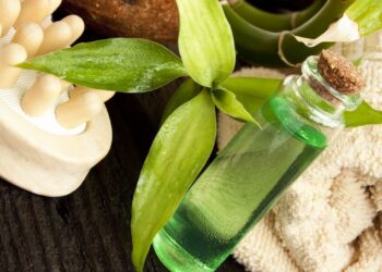 Quels sont les bienfaits de l'arbre à thé ?