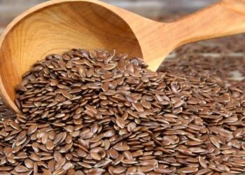 Quels sont les bienfaits des graines de pavot ?