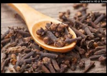 Quels sont les bienfaits du lavandin ?