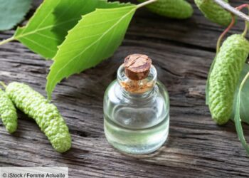 Quels sont les bienfaits du saule blanc ?