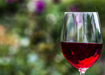 Quels sont les bienfaits du vin rouge ?