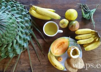 Quels sont les bois exotiques ?