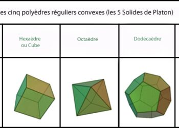 Quels sont les coques les plus solides ?