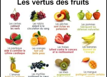 Quels sont les différents légumes fruits ?