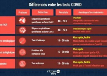 Quels sont les différents types d'escalades ?