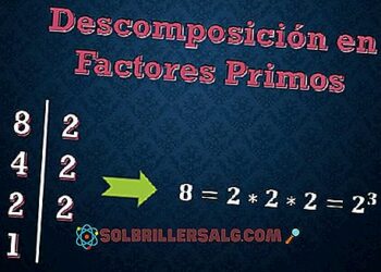 Quels sont les diviseur de 97 ?