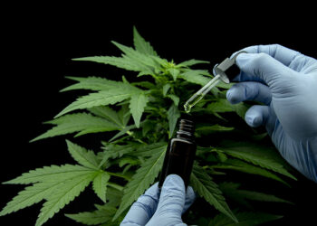 Quels sont les effets du eucalyptus ?