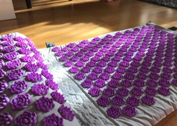 Quels sont les fleurs des champs ?