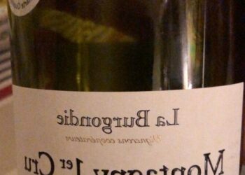 Quels sont les grands vins de Bourgogne ?
