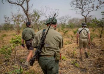 Quels sont les jours pour la chasse ?