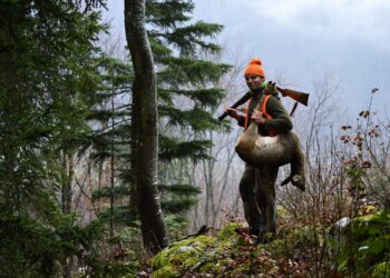 Quels sont les jours sans chasse en Isere ?