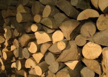 Quels sont les matières organiques ?