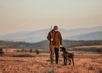 Quels sont les meilleurs boîte de pâté pour chien ?