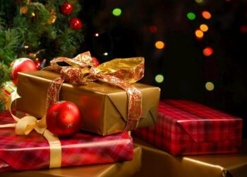Quels sont les meilleurs sapin de Noël ?