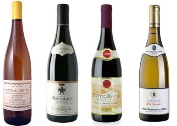 Quels sont les meilleurs vins des Côtes du Rhone ?