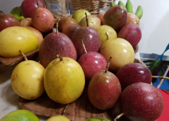 Quels sont les principaux fruits exotiques ?