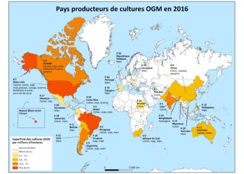 Quels sont les principaux pays producteurs de coton ?