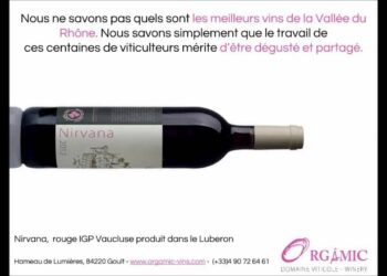 Quels sont les vins du Rhône ?