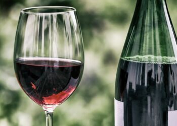 Quels verres pour le vin rouge ?