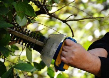 Qu'est-ce que ça veut dire avoir la main verte ?