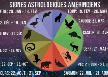 Qu'est-ce que la maison 12 en astrologie ?