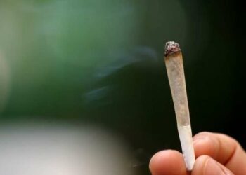 Qu'est-ce que le pilon drogue ?
