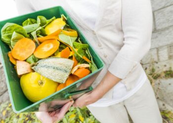 Qu'est-ce que le verre organique ?