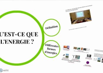 Qu'est-ce que l'ibis ?