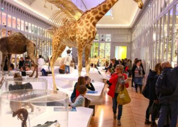 Qu'est-ce qui est ouvert à Lille ?