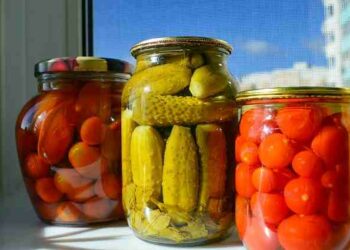 Qu'est-ce qu'on peut faire avec de la lavande ?