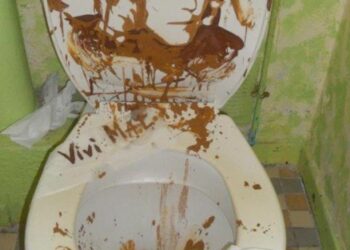 Qu'est-ce qu'on peut faire avec des bambous ?