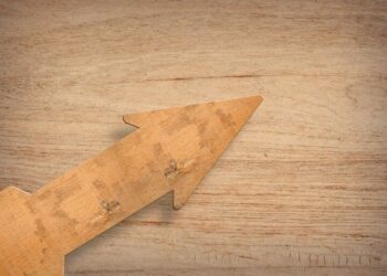 Qu'est-ce qu'on peut faire avec du bois flotté ?