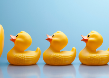 Qu'est-ce qu'un canard dans un couple ?