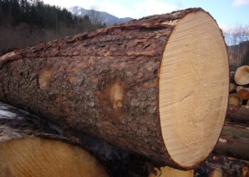 Qu'est-ce qu'une bille de bois ?